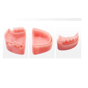 Ciencia Médica Quirúrgica, modelos de entrenamiento bucal Dental, almohadilla para la piel de los dientes dentales, almohadilla de sutura dental - Product Image 5