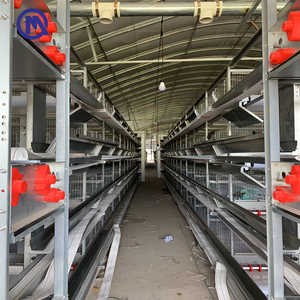 Gabbia Incubatrice per <span class=keywords><strong>Pulcini</strong></span> di 1 Giorno, Progettata per Allevamenti Avicoli - Product Image 5