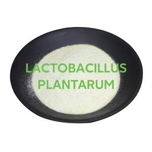 Alimentación de bacterias de ácido láctico probióticos de gran calidad, precio competitivo para reducir la incidencia de enfermedades intestinales - Product Image 6