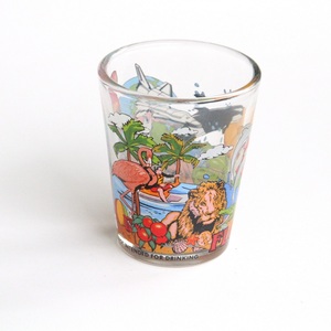 Bán buôn tùy chỉnh giá rẻ logo in Florida USA lưu niệm du lịch cá nhân cốc thủy tinh - Product Image 1