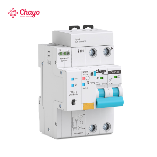 10KA 2P Wi-Fi DIN Rail RCBO 30mA Tuya Smart Life Circuit Breaker with Timer Remote Control Leakage Protection Type a Chayo