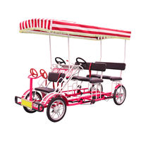 Person Beach Bike: Fun for Families Groups