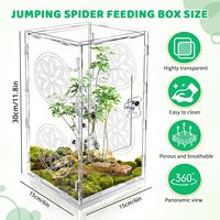 Enclos pour insectes et petits reptiles en acrylique de 11,8*6*6 pouces, habitat pour mantes religieuses, terrarium pour insectes, cage pour araignées sauteuses, accessoires