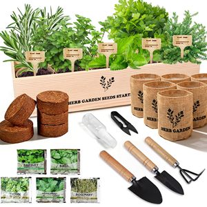 Kit de démarrage pour jardin d'herbes aromatiques d'intérieur sur fenêtre : Basilic, Persil, Romarin, <span class=keywords><strong>Thym</strong></span>, Menthe, comprenant une jardinière, des disques de terreau, des pots, et un coffret cadeau pour femmes - Product Image 1