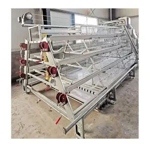 Modern Poultry Farm Automatic Broiler Cage A Type 3 Tiers Battery Broiler Chicken Cages