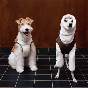 Milieuvriendelijk Dubbelzijdig Bont Geïntegreerd Vest Winter Klassieke Huisdierkleding Voor Kleine Windhonden Whippets Huisdierkleding Gezellig - Product Image 5