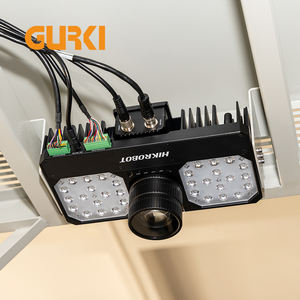 Gurki Nieuwe Structuur Ontwerp E-Commerce Logistieke Sorteermachine Dws Systeem Pakket Express Logistiek Sorteersysteem - Product Image 3