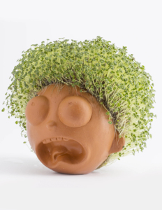 <span class=keywords><strong>Rick</strong></span> <span class=keywords><strong>Morty</strong></span> Fun Grow Chia Pet, Pequeño <span class=keywords><strong>Morty</strong></span> Decorativo, Maceta Bonsái para Interiores/Exteriores, Fácil de Colgar, Aplicación en Centros Comerciales - Product Image 5