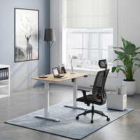 Cadre de bureau électrique réglable en hauteur, ergonomique, moderne, à un seul moteur, pour se tenir assis ou debout