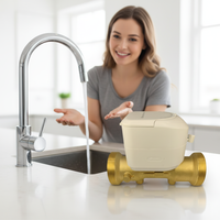 Compteur d'eau à ultrasons série MAINONE avec multi-communications RS485/M-BUS/LORA/LORAWAN/Pulse, certifié et personnalisable