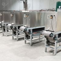 Machine à éplucher l'ail, ligne de production de poudre d'ail, éplucheur d'ail électrique