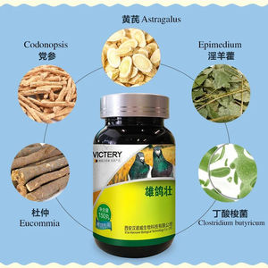 ハトの繁殖の可能性を刺激するためのサプリメント栄養ピジョンペアリング薬 - Product Image 4