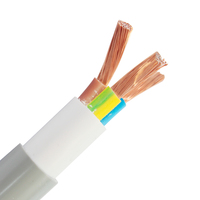 Étanche Cuivre Plat 10awg 3 Submersible Fil Rouleau Pompe Câble Plat Submersible 4 3 Core Pompe Câble Prix