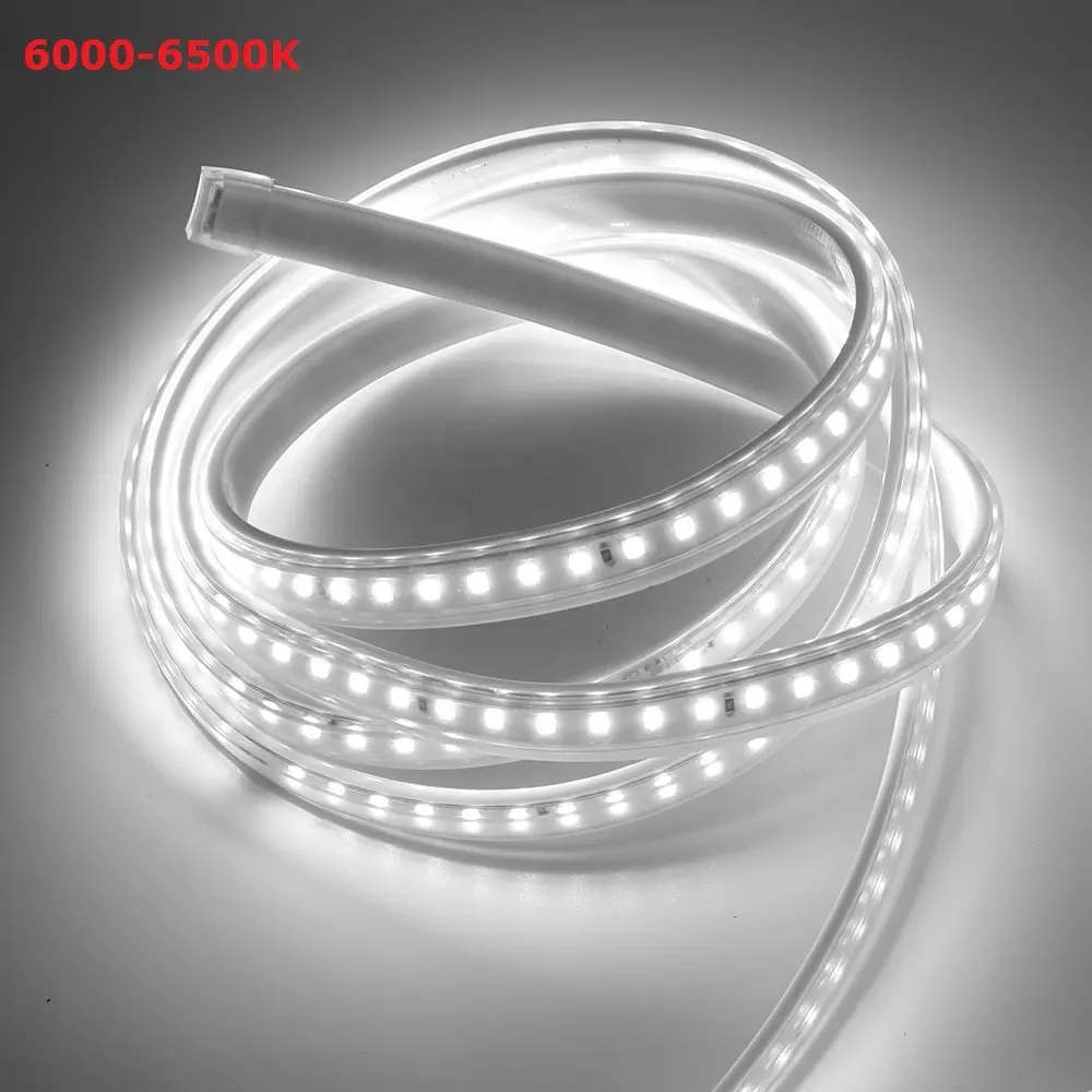 LED Flexible Color Changing Remote 240v 230v 110v 220v rgb 5050 colour change led strip lightsmotion led strip light