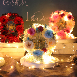 Cielo Ruota Modello di Fiore Conservato Rosa In Cupola di Vetro Con Luci Per San Valentino Regali Di Natale - Product Image 5
