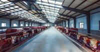 Ferme moderne en acier et métal de couleur verte Garantie de la Chine pour la durée de vie de la construction d'un hangar d'élevage de bovins, de poulets et de moutons