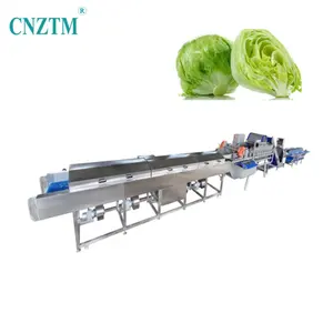 Industrial Conveyor Belt Continuous High Pressure Air Water Bubble Ozone Cleaner Washer Fruit Leafy Vegetable Washing Machine