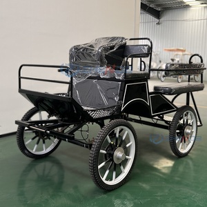 Newly Designed Carriage/customized Luxury Marathon/factory Direct Marathon Rickshaw - Product Image 4