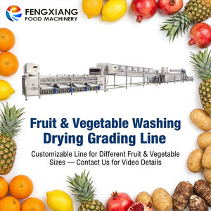 Fengxiang Fruit & Vegetable Washing <b>Drying</b> Grading Line Customizable for Various Sizes Automatic Processing <b>Equipment</b> - Product Image 1