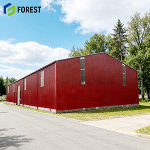 Taller de Estructura de Acero de Grado Industrial, Diseño Modular Versátil, Construcción Rápida, Centro de Distribución Logística - Product Image 1