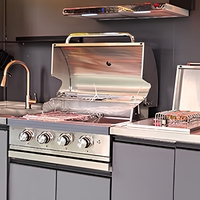 Cuisine extérieure moderne sur mesure de 2,5 m, conçue pour toutes les conditions météorologiques, en acier inoxydable 304, avec grill et évier modulaires
