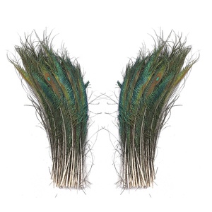 Peacock lông nhuộm Mô Hình DIY Wedding party Carnival trang trí nội thất Nguồn cung cấp nghệ thuật bán buôn - Product Image 5