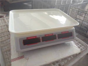 100% abs Kunststoff <span class=keywords><strong>ACS</strong></span> <span class=keywords><strong>System</strong></span> elektronische Waage - Product Image 3