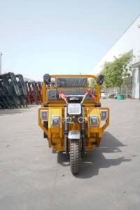 Tricycles électriques à chargement lourd, 3 roues, moto à carrosserie ouverte pour adultes, tricycle électrique de transport avec une puissance de 1000 W et une vitesse de 50-70 km/h - Product Image 2