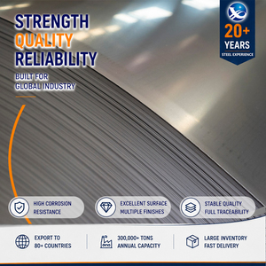 Anti Fingerprint 0.5mm x 1219mm Precision EN 10088 Stainless Steel Strip with High Corrosion Resistance - Product Image 1
