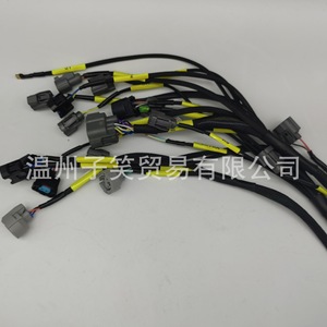 Faisceau de câblage moteur série B Ap03 Cnch-Obd2-1 pour Honda Civic B16 D16 B18 D18 12V, âme en cuivre, gaine en nylon - Product Image 1
