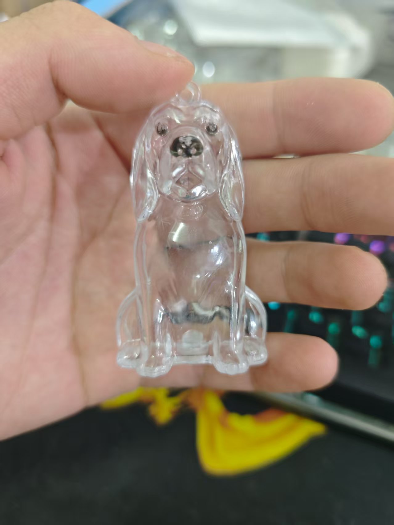Beagle transparente [grande]