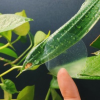 Autocollants imperméables pour les boîtes de empaquetage, autocollants extérieurs résistants UV de joint