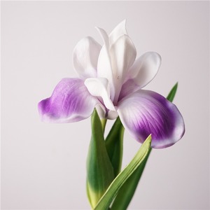 KEWEI T894 Real Touch Artificielle <span class=keywords><strong>Iris</strong></span> Fleur Plante 55cm pour la Fête des Mères Halloween Mariage Décor - Product Image 1