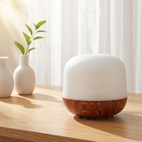 Diffuseur d'arômes ultrasonique 250 ml en gros avec lumière LED, humidificateur d'air silencieux, diffuseur d'huiles essentielles, diffuseur à grain de bois pour la maison