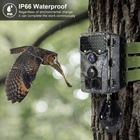 Mini caméra de chasse, caméra pour animaux, 1080P, IR, caméra de sentier sauvage, étanche IP65, déclencheur de mouvement, pièges photo
