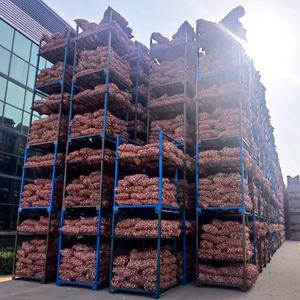 Jujinjing-ampoules <span class=keywords><strong>d</strong></span>'<span class=keywords><strong>ail</strong></span> blanc frais, vente en gros, économique - Product Image 6