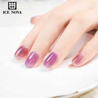 ICE NOVA Vernis Gel Cristal Violet Collection Printemps-Été 2026 Gel UV Acrylique Longue Durée Violet pour Salons
