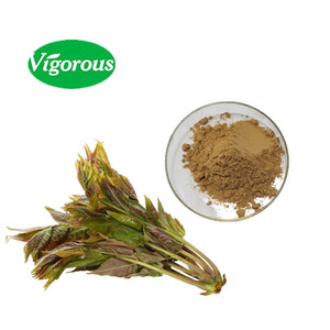 Poudre de <span class=keywords><strong>Toona</strong></span> <span class=keywords><strong>Sinensis</strong></span> de qualité supérieure, pure, échantillon gratuit, extrait de <span class=keywords><strong>Toona</strong></span> chinois, extrait de feuilles de <span class=keywords><strong>Toona</strong></span> <span class=keywords><strong>Sinensis</strong></span> - Product Image 1
