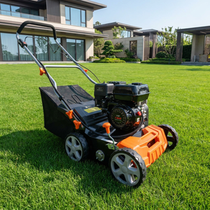 <span class=keywords><strong>Scarificateur</strong></span> à essence industriel robuste avec profondeur réglable et bac de ramassage de 50 L pour l'élimination du mousse et du tapis de <span class=keywords><strong>pelouse</strong></span> sur les grandes pelouses - Product Image 1