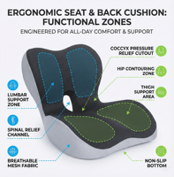 Coussin de soutien lombaire ergonomique pour chaise de bureau et de maison, confort pour le dos, mousse souple, soulagement de la pression, aide à la position assise