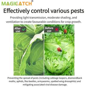 ตาข่ายไนลอนกันน้ำแบบรักษ์โลก ขนาด 40 เมช 60 เมช สำหรับกันนก โรงงานผลิตโดยตรง ทนทาน น้ำหนักเบา เหมาะสำหรับธุรกิจฟาร์มและโรงเรือนเพาะชำ - Product Image 5
