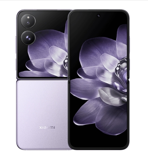 Viola