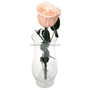 Rose conservate all'ingrosso e piante regalo di <span class=keywords><strong>San</strong></span> <span class=keywords><strong>Valentino</strong></span> con eterno <span class=keywords><strong>per</strong></span> sempre rosa con scatola di vetro a forma di cupola Bouquet di fiori <span class=keywords><strong>per</strong></span> <span class=keywords><strong>lei</strong></span> - Product Image 6