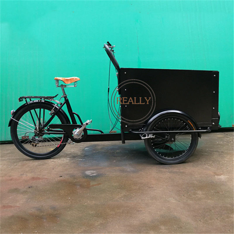 2025 Cargo Electric Bike 犬用ケア 3輪トライク 家族用自転車