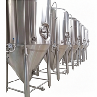 Vente Flash : Cuve de Fermentation de Bière à Petite Échelle en Acier Inoxydable de Qualité Alimentaire, Simple ou Double Paroi
