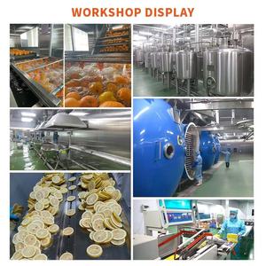 Bán Buôn Chất Lượng Cao Đóng Băng Khô Chanh Lát Cho Trà Khô Mật Ong Chanh Lát Nhỏ Vỏ Tự Nhiên Khô Chanh Từ Trung Quốc - Product Image 6