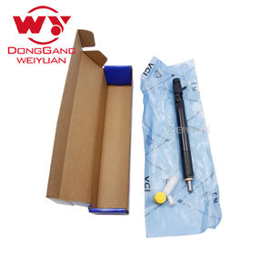 WEIYUAN WY 6650170221 топливный инжектор EJBR04401D дизельный инжектор для SsangYong Rexton Euro 4 для EJBR04401 Z <span class=keywords><strong>R04401D</strong></span> для <span class=keywords><strong>Delphi</strong></span> - Product Image 6