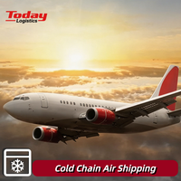Service DHL de Dernier Kilomètre : Transport Intermodal Aérien et Routier Efficace pour Colis Sensibles par Transport Aérien au Sol Froid, DDP Japon, Corée du Sud, Malaisie