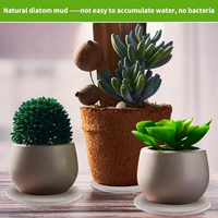 Sous-verre en terre de diatomée CC 4/6/8 pouces, soucoupe en diatomite pour plantes, plateau en pierre absorbant l'eau instantanément