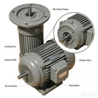 Moteur réducteur vertical triphasé à couple élevé 750W 1HP TCG, moteur à engrenages AC avec frein 220/380V IP55, moteur à faibles vibrations